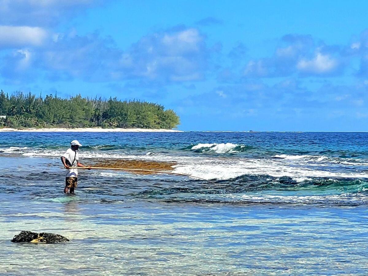 Un Ecrin De Paix Au Soleil Et Proche De La Mer موريا المظهر الخارجي الصورة