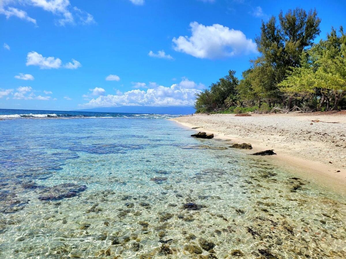Un Ecrin De Paix Au Soleil Et Proche De La Mer موريا المظهر الخارجي الصورة