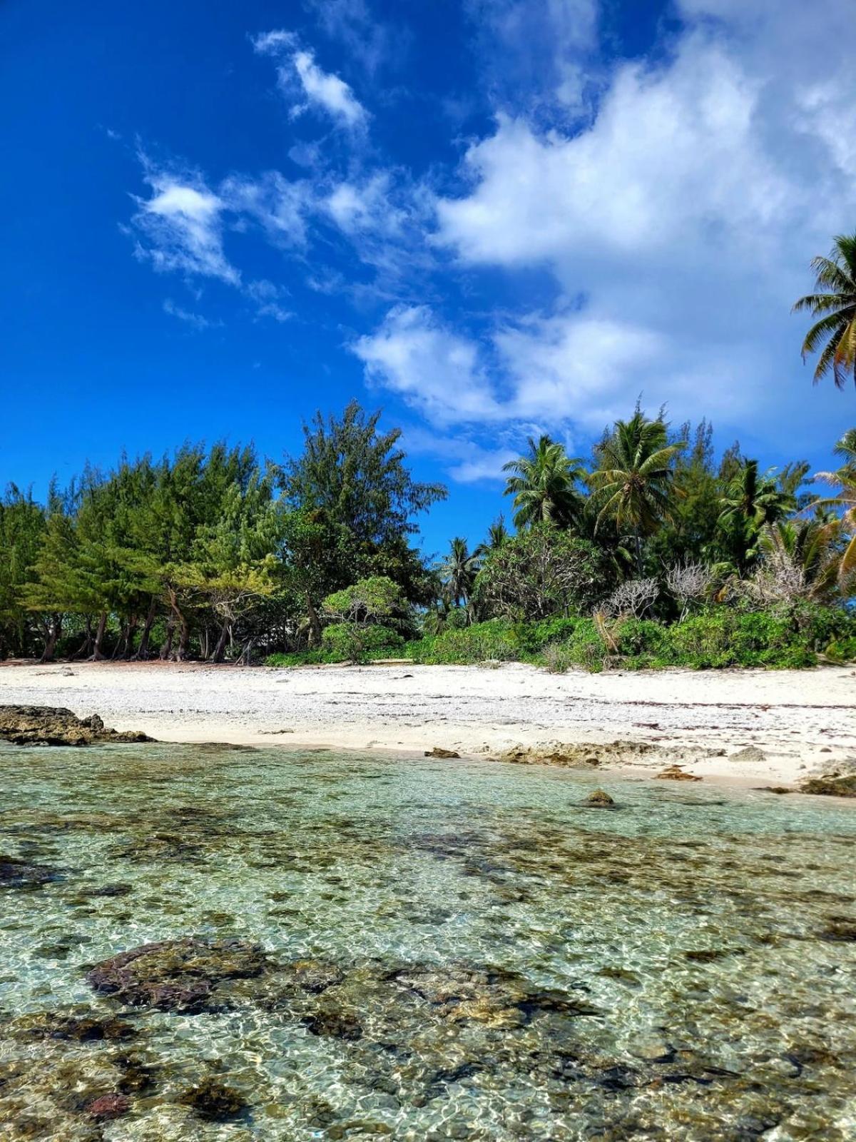 Un Ecrin De Paix Au Soleil Et Proche De La Mer موريا المظهر الخارجي الصورة